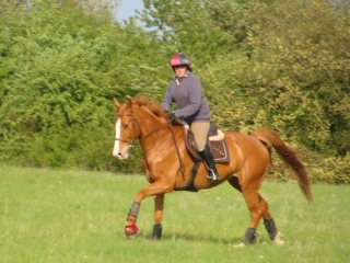  Palpatine du Hallyer